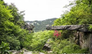 庐山南门一日游攻略路线